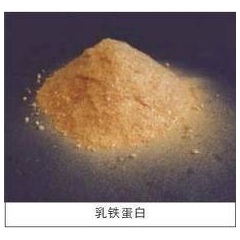 乳铁蛋白原料，含量99%