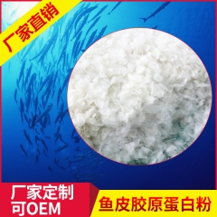 批发销售 食用水解胶原蛋白原料 营养速溶鱼皮鱼鳞胶原蛋白粉