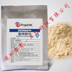 中华老字号 东阿阿胶桃花姬阿胶糕300g