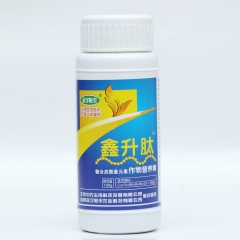 中华老字号 东阿阿胶桃花姬阿胶糕300g
