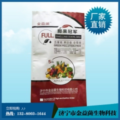 中华老字号 东阿阿胶桃花姬阿胶糕300g