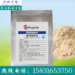 中华老字号 东阿阿胶桃花姬阿胶糕300g