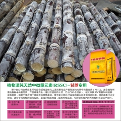 中华老字号 东阿阿胶桃花姬阿胶糕300g