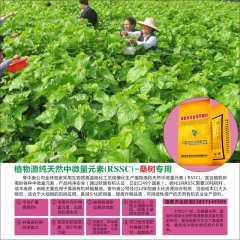 中华老字号 东阿阿胶桃花姬阿胶糕300g