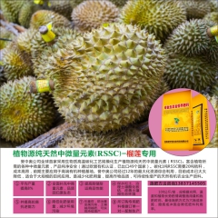 中华老字号 东阿阿胶桃花姬阿胶糕300g
