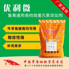 中华老字号 东阿阿胶桃花姬阿胶糕300g