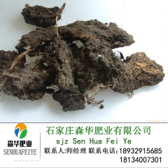 中华老字号 东阿阿胶桃花姬阿胶糕300g
