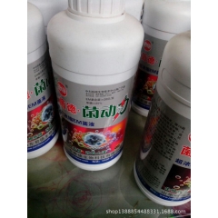 中华老字号 东阿阿胶桃花姬阿胶糕300g