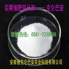 中华老字号 东阿阿胶桃花姬阿胶糕300g