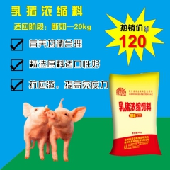 乳猪 浓缩料 科星818 自然香 适口性强 厂价直销