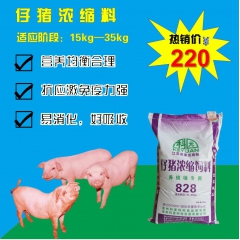 中华老字号 东阿阿胶桃花姬阿胶糕300g