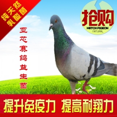 中华老字号 东阿阿胶桃花姬阿胶糕300g