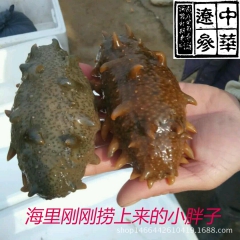 中华老字号 东阿阿胶桃花姬阿胶糕300g