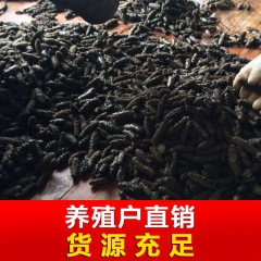 中华老字号 东阿阿胶桃花姬阿胶糕300g