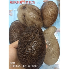 中华老字号 东阿阿胶桃花姬阿胶糕300g