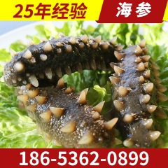 中华老字号 东阿阿胶桃花姬阿胶糕300g