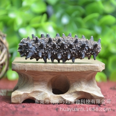 中华老字号 东阿阿胶桃花姬阿胶糕300g
