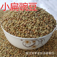 优质甘肃小豌豆 小扁豆 油粉胡豆 凉粉原料豆 八宝粥豆
