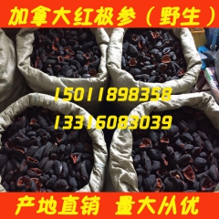 中华老字号 东阿阿胶桃花姬阿胶糕300g