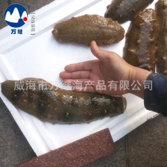 中华老字号 东阿阿胶桃花姬阿胶糕300g
