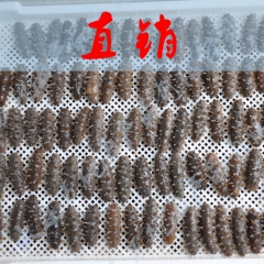 中华老字号 东阿阿胶桃花姬阿胶糕300g