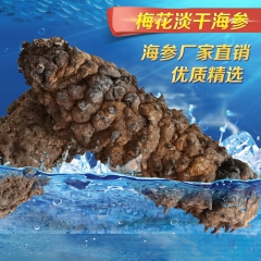 中华老字号 东阿阿胶桃花姬阿胶糕300g