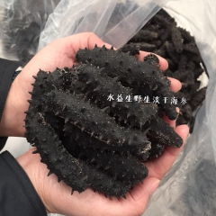 水益生野生海参 淡干海参 长海自有海域 海产 海鲜干货 包邮