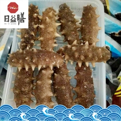 即食海参 大连辽刺参单冻海参 开袋即食单冻海参