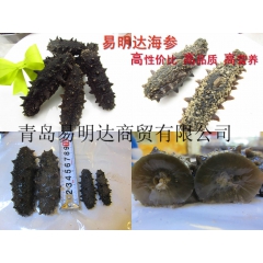 易明达海参 大连海参干货 淡干辽参礼盒 40-300头厂家直...