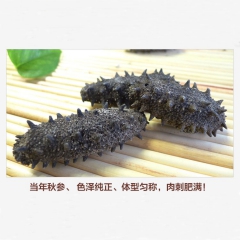 名锦海参 辽宁深海刺参 大火侯拉缸盐海参批发零售 限时促销 ...