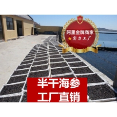 大连半干海参 20~60头海参批发 拉缸盐海参 工厂直销 一...