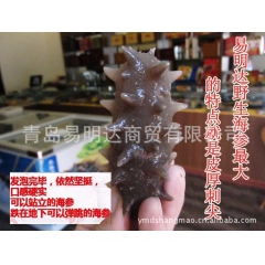 中华老字号 东阿阿胶桃花姬阿胶糕300g