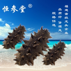 中华老字号 东阿阿胶桃花姬阿胶糕300g