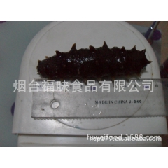 海参，干海参，冷冻海参批发，即食海参，盐渍海参
