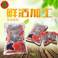 厂家直销 高压即食海参 纯淡干海参加工厂 干制水产品加盟 批...