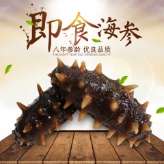 一件代发大连高压即食海参 直供酒店批发市场 刺参海参