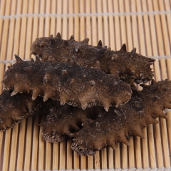 批发零售 纯天然野生 辽宁大连海参 青参 四排刺海参 深海 ...