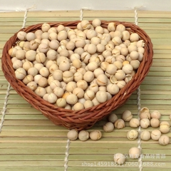 特色炒货零食 炒豌豆 中号豌豆 一袋7斤 厂家直销