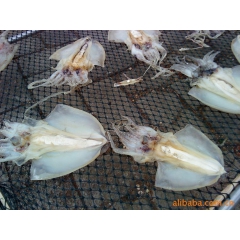 中华老字号 东阿阿胶桃花姬阿胶糕300g