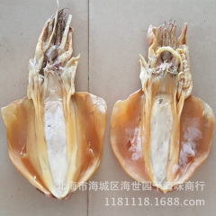大乌贼 批发墨鱼干 大号墨鱼 广西特产北海海产品 海鲜干货