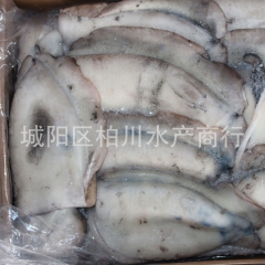 供应冷冻大墨鱼、新鲜大墨鱼、鱼类海鲜批发