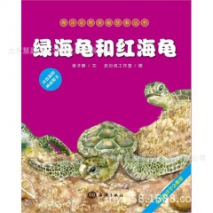 正版 海洋动物探秘故事丛书 绿海龟和红海龟 海洋出版社
