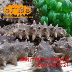 中华老字号 东阿阿胶桃花姬阿胶糕300g
