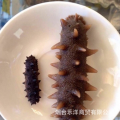 中华老字号 东阿阿胶桃花姬阿胶糕300g