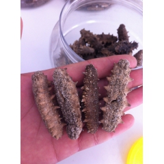 中华老字号 东阿阿胶桃花姬阿胶糕300g