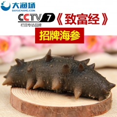 大连高品质鲜食海参 即食海参 8-13头/500g 辽刺参 ...