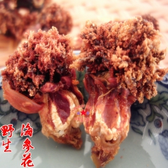 海参花 卵 海参籽 干货 纯野生 海参肠 刺参 参籽 滋补高...