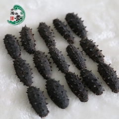 厂家直销  干刺参  獐子岛辽参  品质极佳  肉嫩多刺 生...