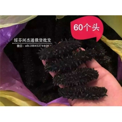 俄罗斯野生大红海参60个头 淡干 进口刺参 六排刺 一盒一斤