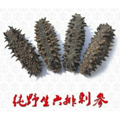 野生纯淡干海参 高品质干货刺参 80-90头500g 批发零...
